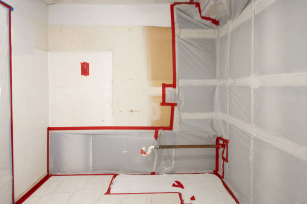 Mold Remediation for Rental Properties in North York, PA